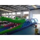 Crocodile Inflatable Water Slide