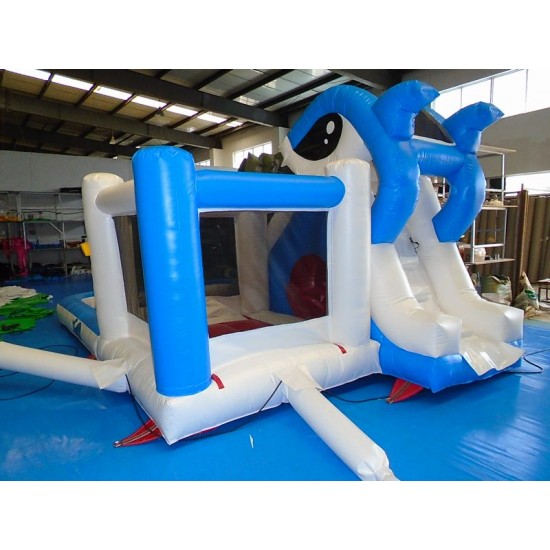 Inflatable Pool And Slide