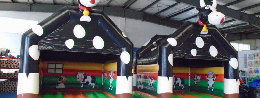 Bouncy Castles: Fun Beyond Birthdays in the UK